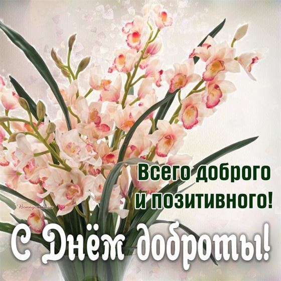 Персиковые цветы на День доброты