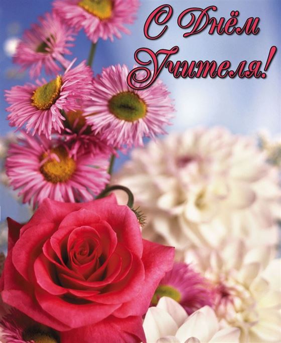 Красивые цветы на День учителя