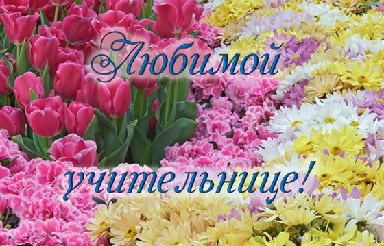 Море цветов любимой учительнице