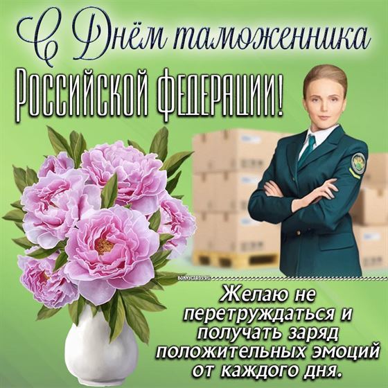 Открытка с розовыми пионами на День таможенника