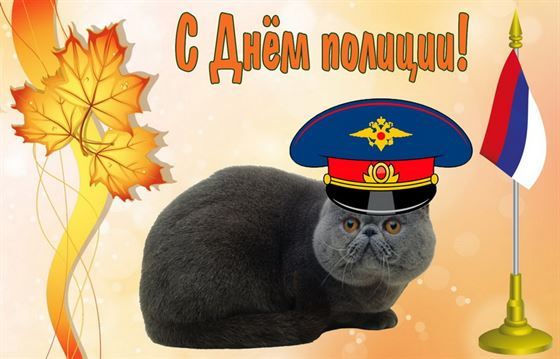 Прикольная картинка на День полиции с котом в фуражке