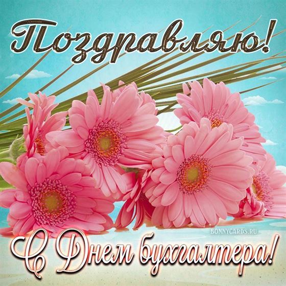 Большие розовые цветы на День бухгалтера