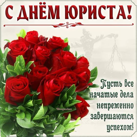 Букет алых роз на День юриста