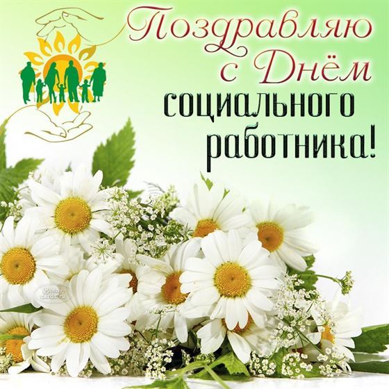 Поздравление с Днем соцработника с ромашками