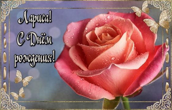 Большая роза с бабочками на День рождения Ларисы