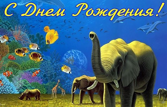 Открытка со слоном в день рождения