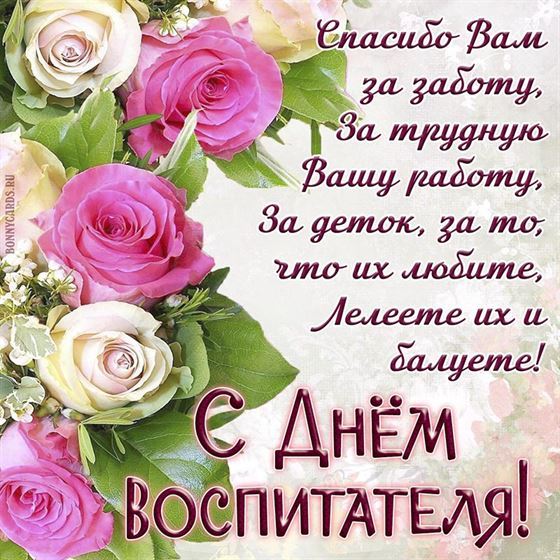 Пышные розы на День воспитателя