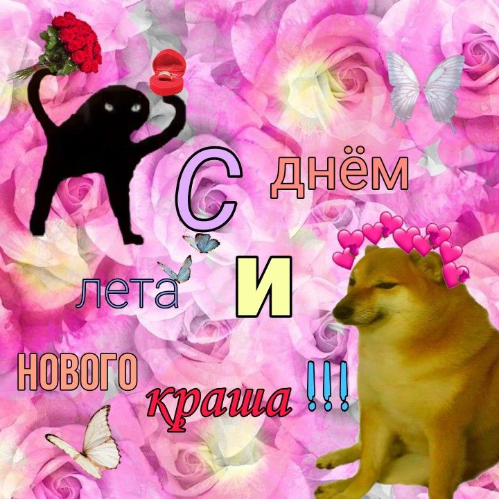Мем поздравление с летним днем парня