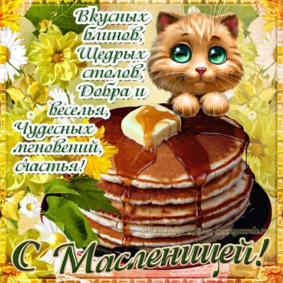 Картинка на Масленицу с котом и блинами