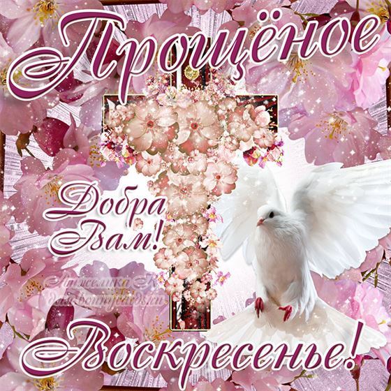 Трогательная картинка с голубем в цветах на Прощеное воскресенье 