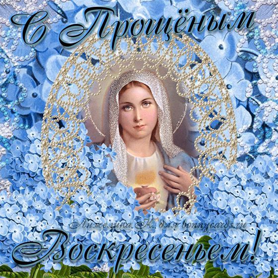 Милая открытка на Прощеное воскресенье  с синими цветами