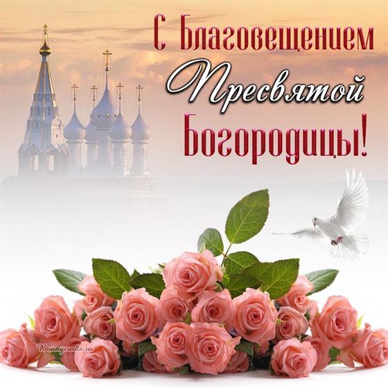 Розовые розы на Благовещение