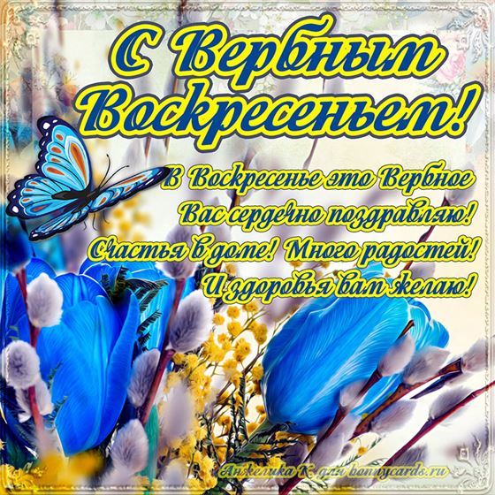 Картинка на Вербное Воскресенье с синими тюльпанами