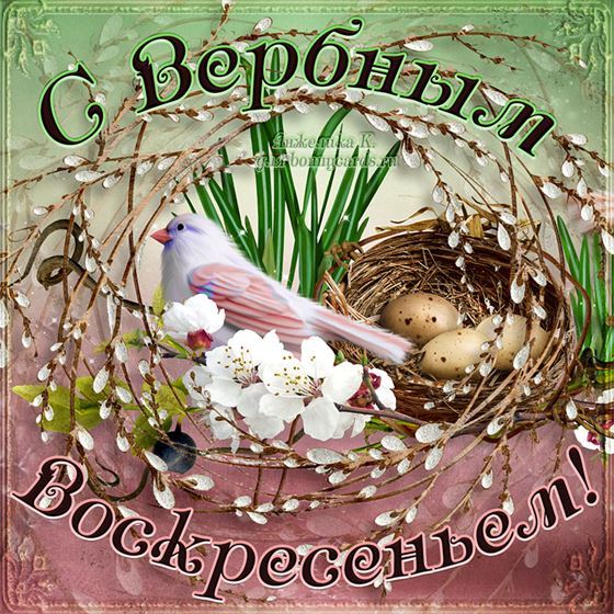 Красивая открытка с птичкой на Вербное Воскресенье