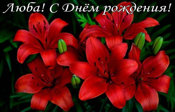 Необычная открытка с красными лилиями на День рождения Любы