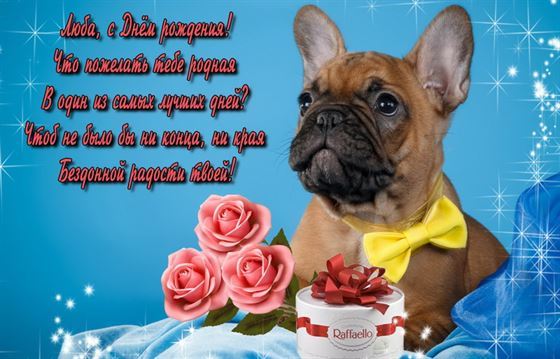 Прикольная открытка с собачкой для Любы в День рождения