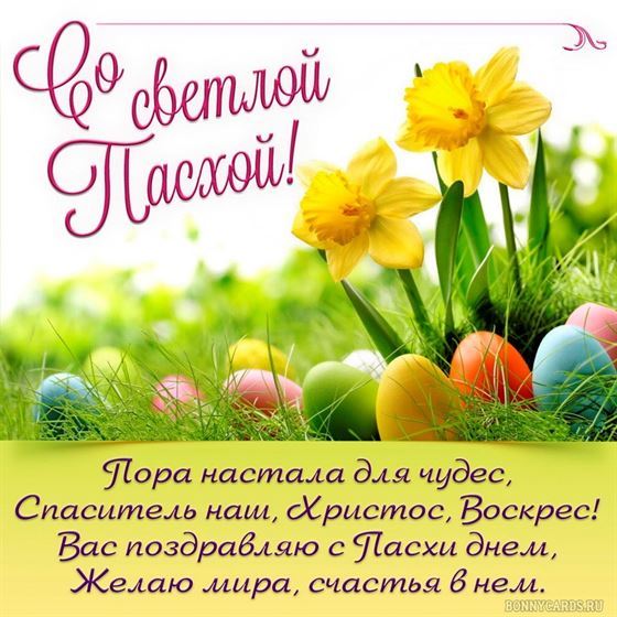 Милая открытка с яйцами и нарциссами на Пасху