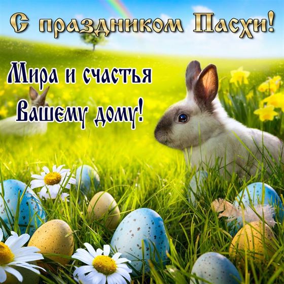 Открытка на Пасху с кроликом