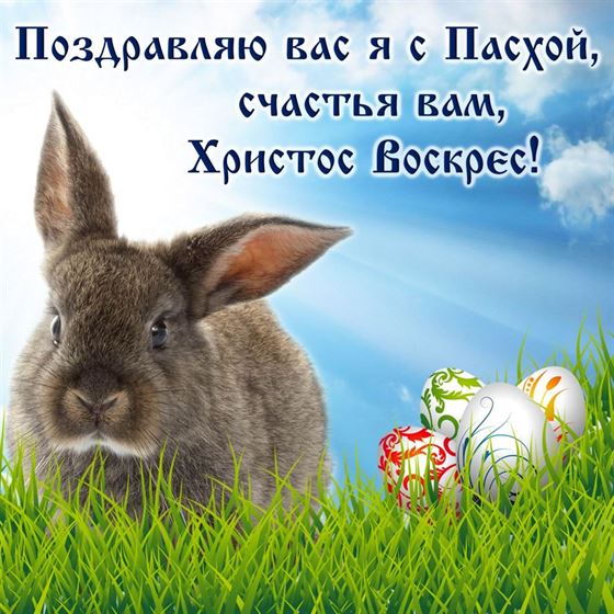 Кролик поздравляет с Пасхой