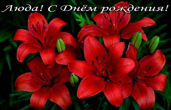 Красные лилии в День Рождения Люды