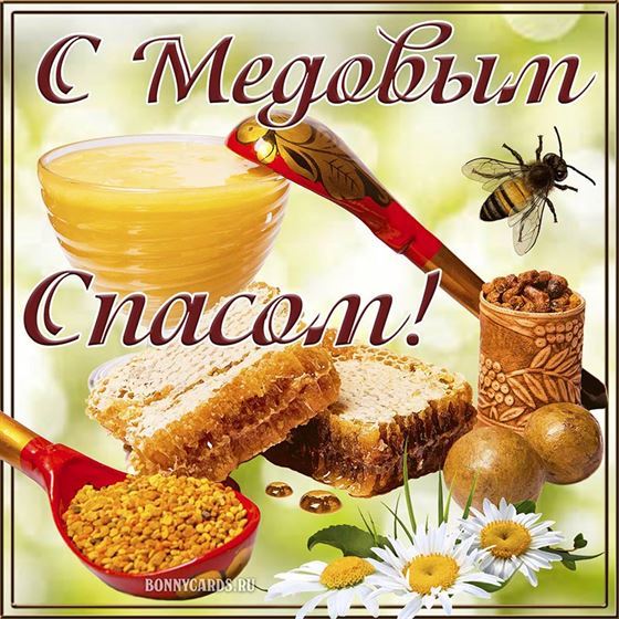Милая открытка на Медовый Спас с сотами
