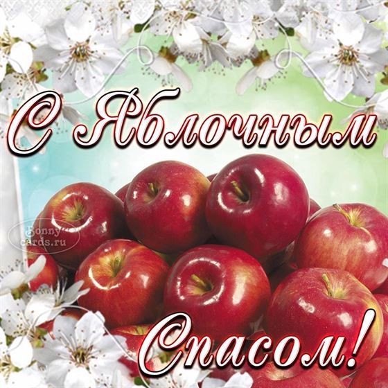 Красивая открытка с красными яблоками на Яблочный Спас