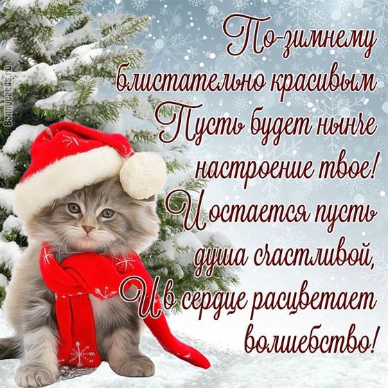 Забавная открытка на зиму с котом в шапочке