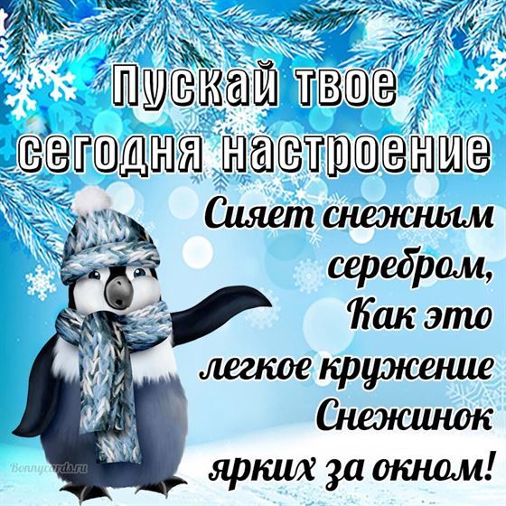Прикольная открытка на зиму с пингвином