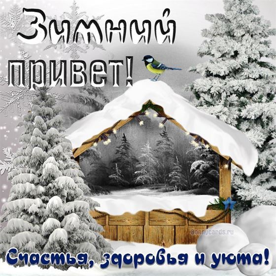 Зимний привет м домиком и птичкой