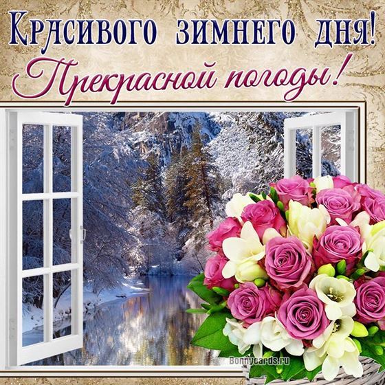 Оригинальная картинка на зиму с букетом роз