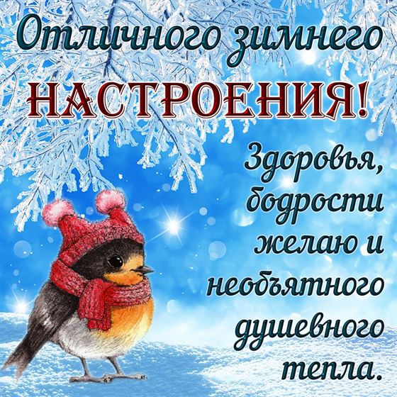 Отличного зимнего настроения с птичкой