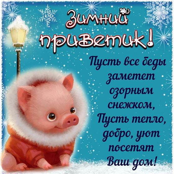 Милая свинка передает зимний приветик