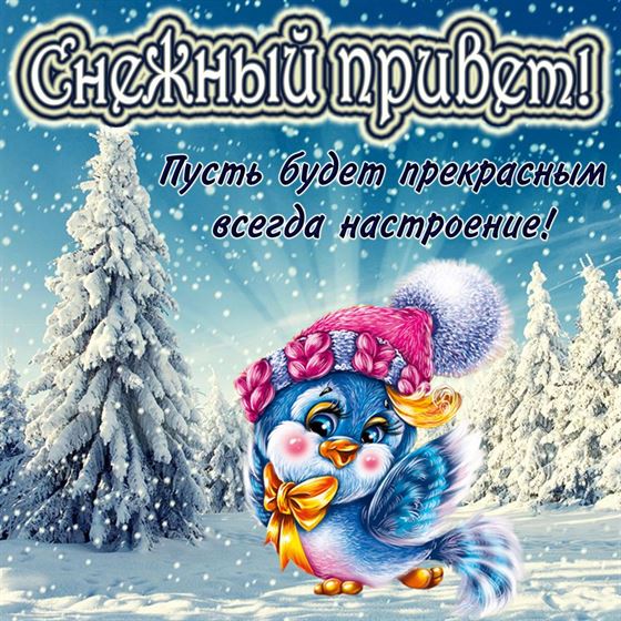 Синяя птичка передает снежный привет