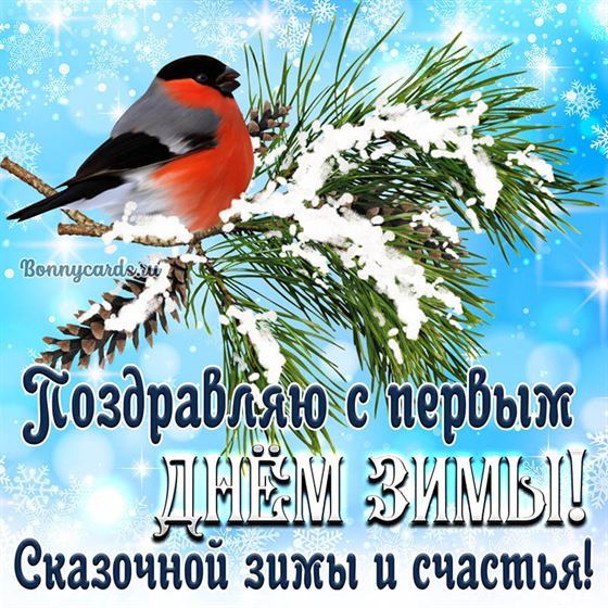 Картинка с первым днем зимы со снегирем