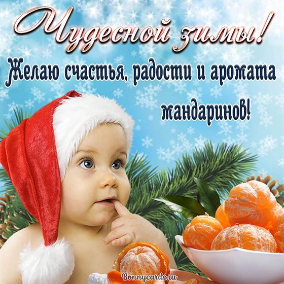 Пожелание чудесной зимы с мандаринами