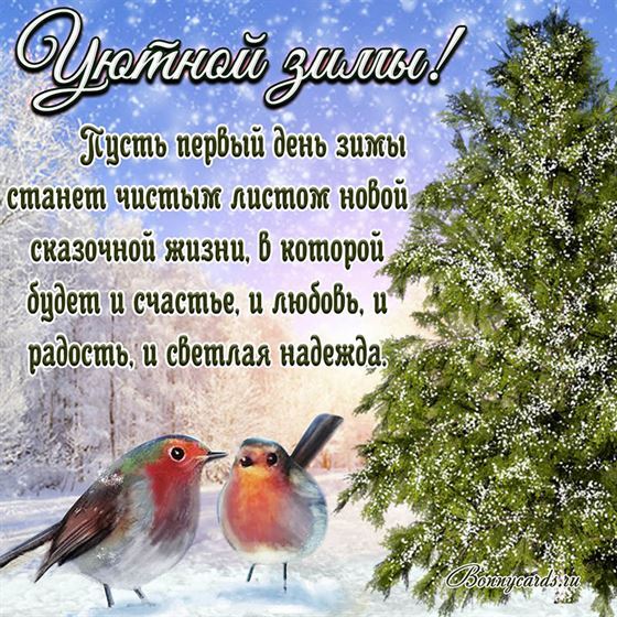 Пожелание уютной зимы с птичками