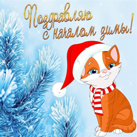 Рыжий кот поздравляет с первым днем зимы