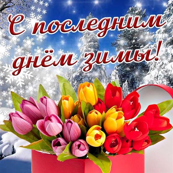 Открытка с последним днем зимы с тюльпанами