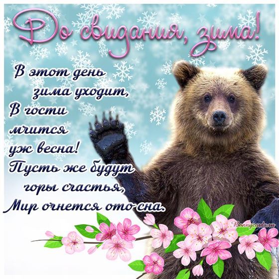 Медведь прощается с зимой