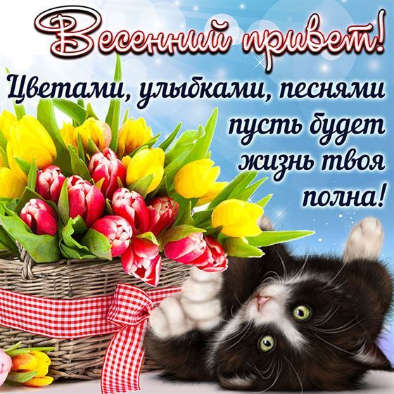 Открытка на весну с котом и тюльпанами