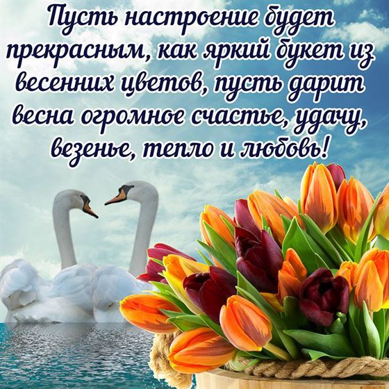 Букет тюльпанов и лебеди на весну