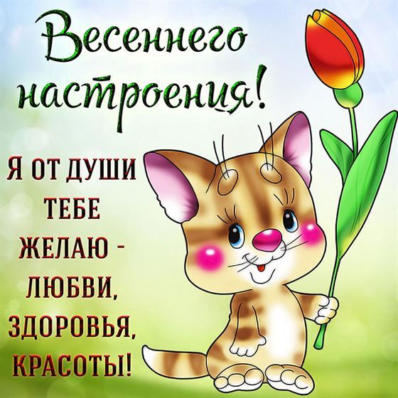 Котик желает весеннего настроения