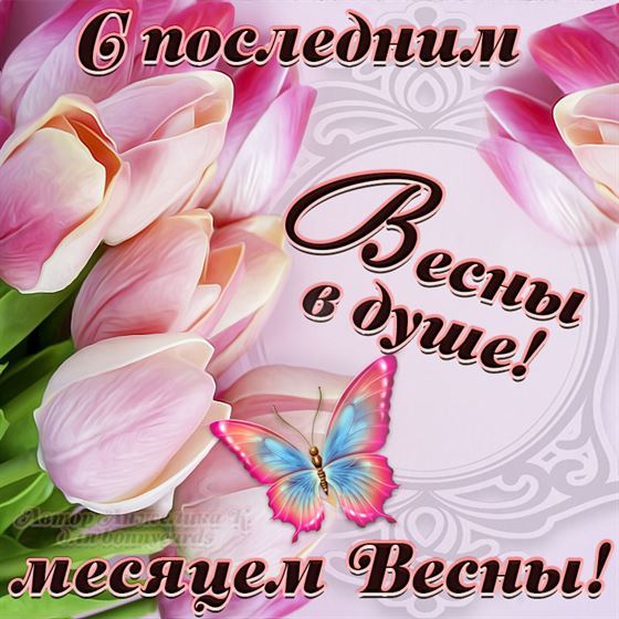 Тюльпаны на последний месяц весны