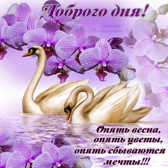 Открытка на весну с лебедями и орхидеями