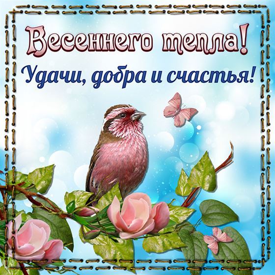 Весеннего тепла, удачи, добра и счастья