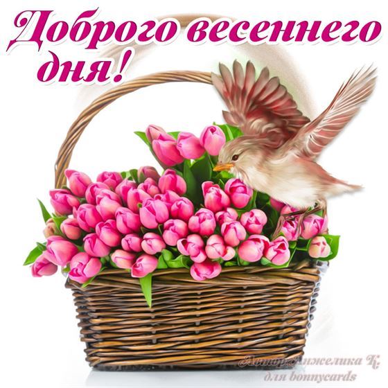 Корзина тюльпанов на открытке на весну
