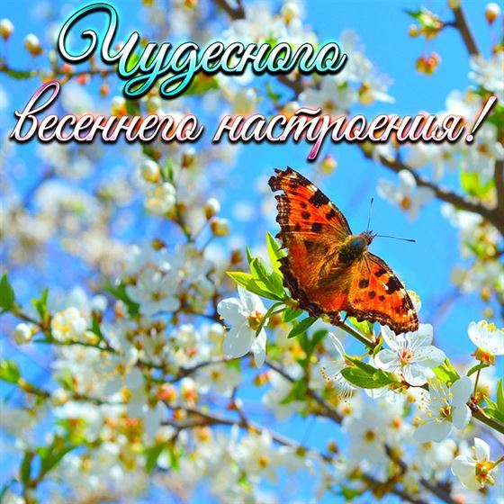 Чудесного весеннего настроения с бабочкой