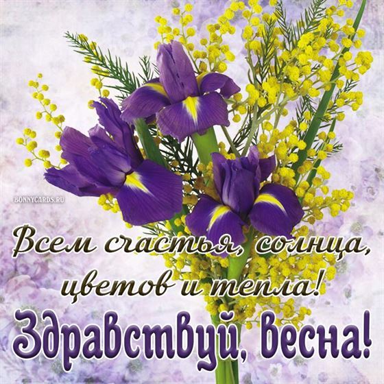 Красивая картинка на первый день весны с ирисами и мимозами