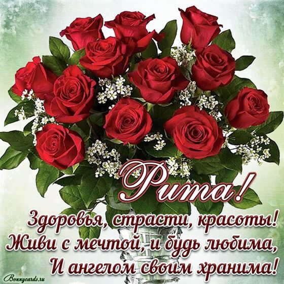 Большой букет роз на День рождения Маргарите