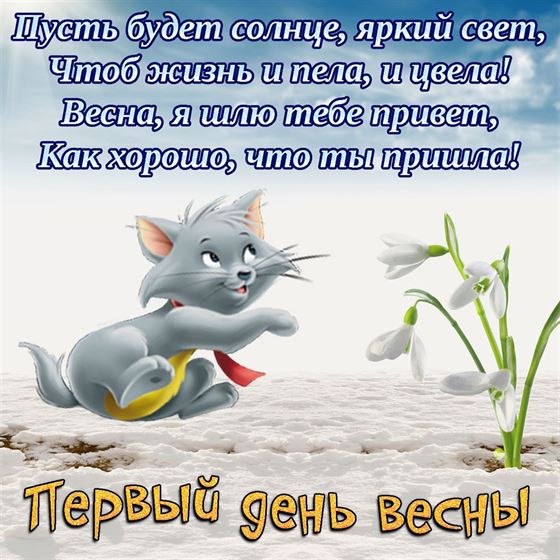 Забавная открытка с котиком на первый день весны